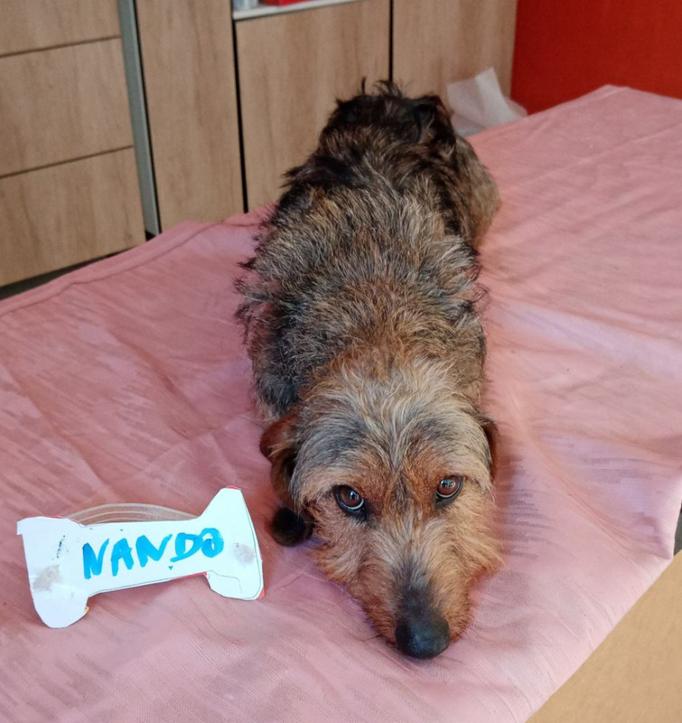 [Image: image000003-5.jpg]