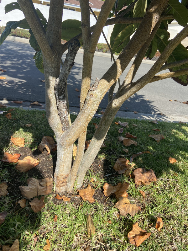 FE6E2A79-33EC-4015-8F7D-E0E8FEDF40D4