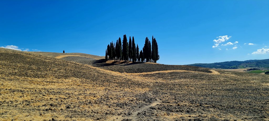 La Toscana 2022: entre termas y cipreses - Blogs de Italia - Los cipreses creen en Dios...y más en Val D'Orcia (1)