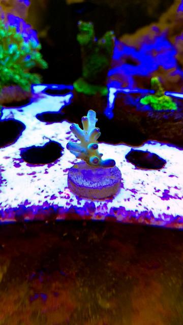 BC180FB0-0A36-4FB1-A0B9-13D3ECEAE1AC