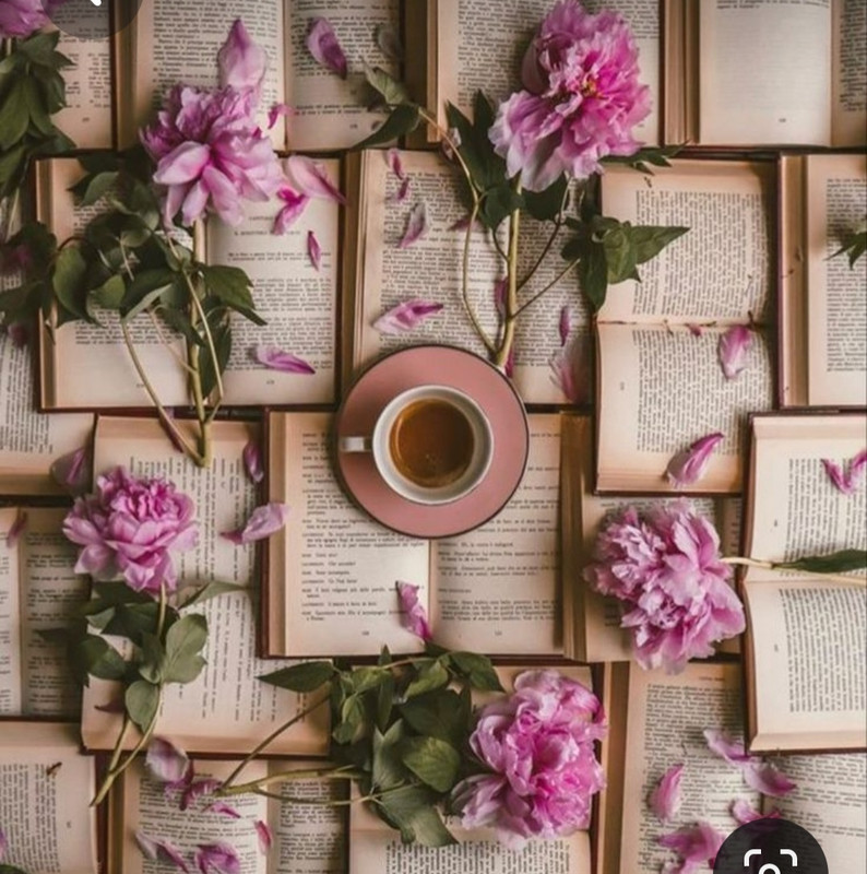 Screenshot_20230622_001206_Pinterest