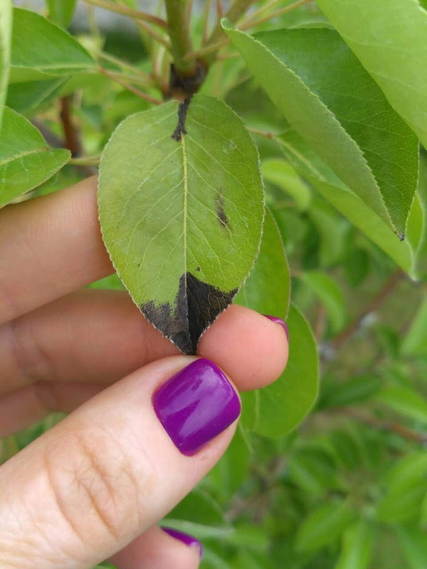 IMG-c7eefbcd6f4f897a262abd4d7e3cd2b3-V