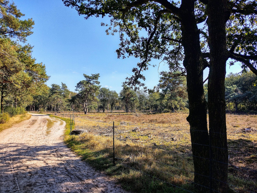 IMG-20230915-152328095-HDR-edited.jpg