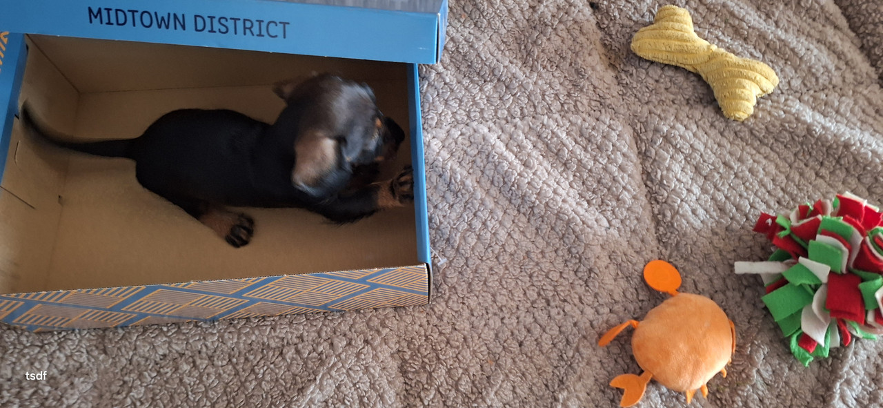 [Image: 20250611-135344.jpg]