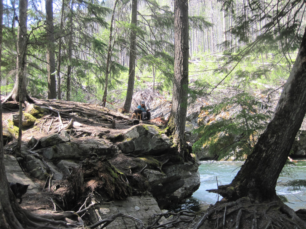 IMG 0876[1] — Postimages