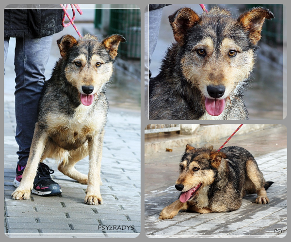 BeFunky-collage (18)