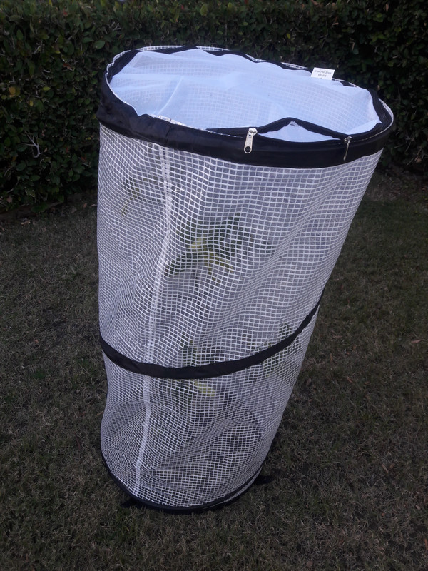 20181111_154245_1541979803465