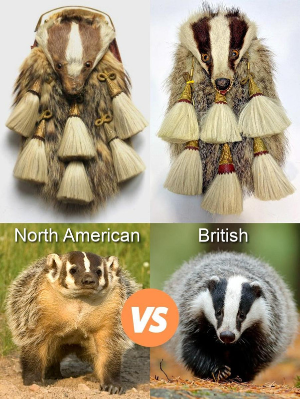 ARGbadger UKv NAcol TEXT