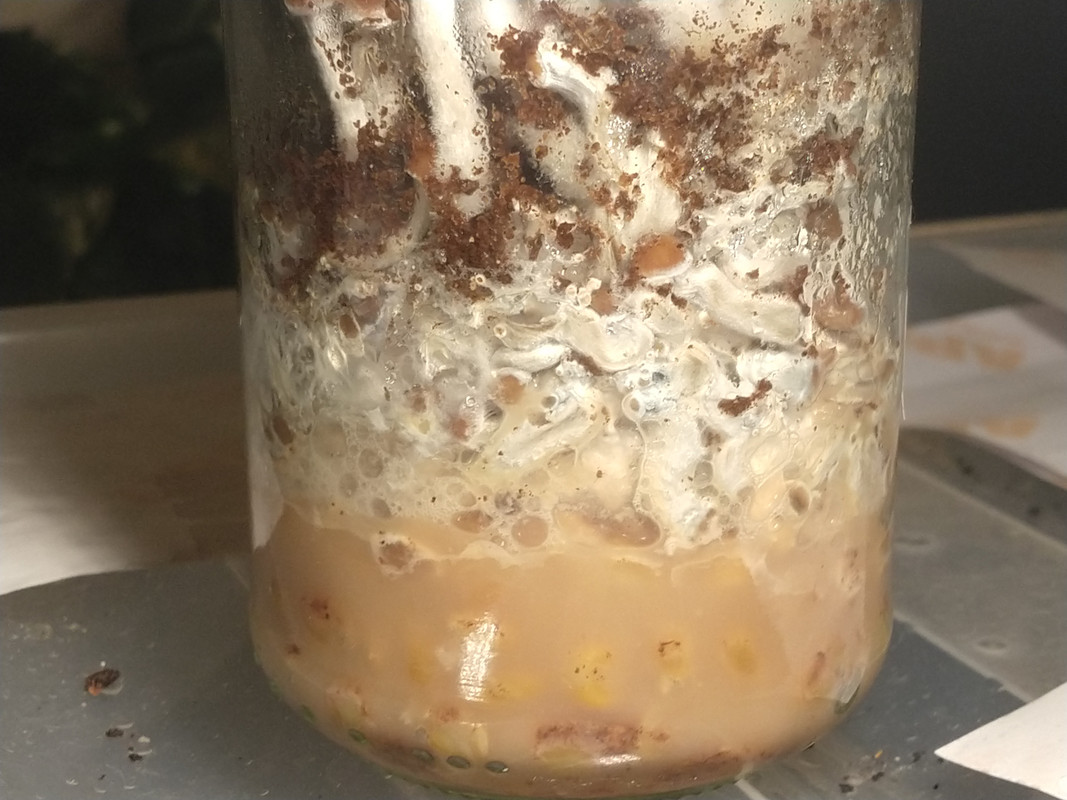 IMG_20211130_210534343