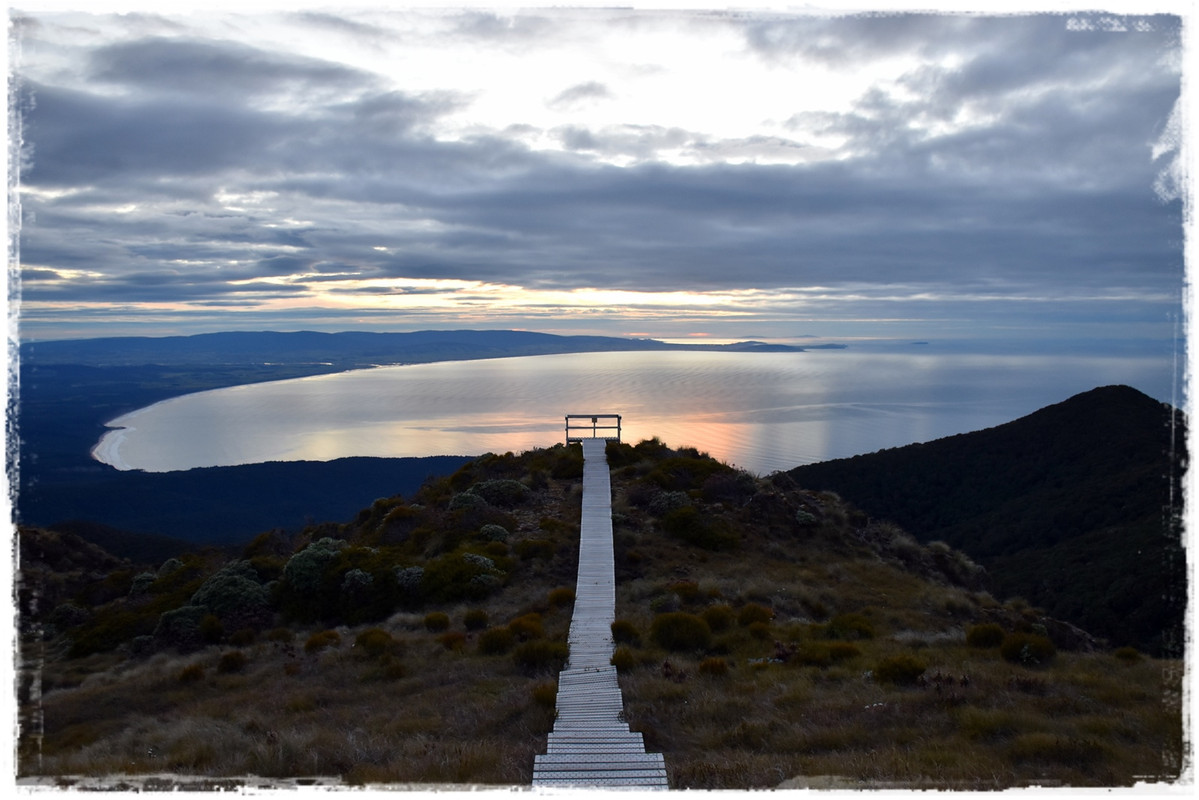 Fiordland NP: Humpridge Track (febrero 2021) - Escapadas y rutas por la Nueva Zelanda menos conocida (33)