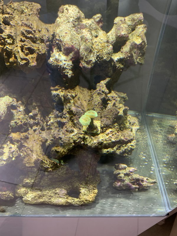 201BC06F-C0A6-4C76-B688-CE869ECA9889