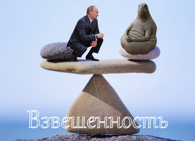 3713333454-m