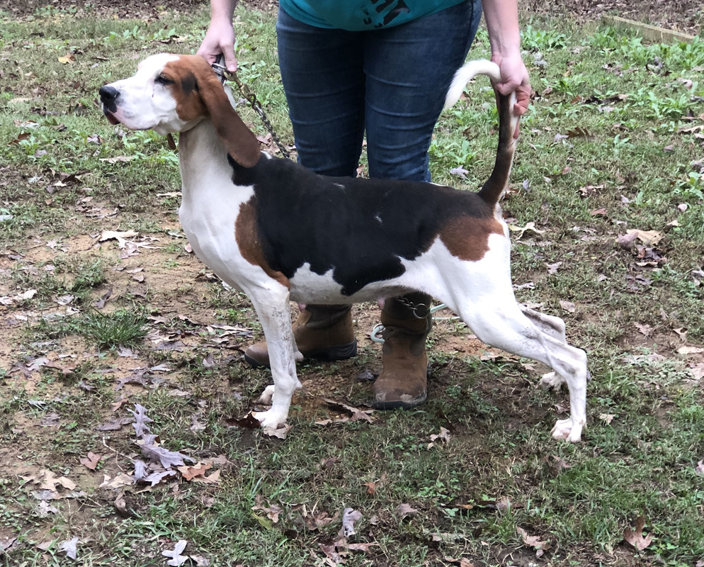 D689F025-7B9F-4273-B380-49DBBD0AB3E5