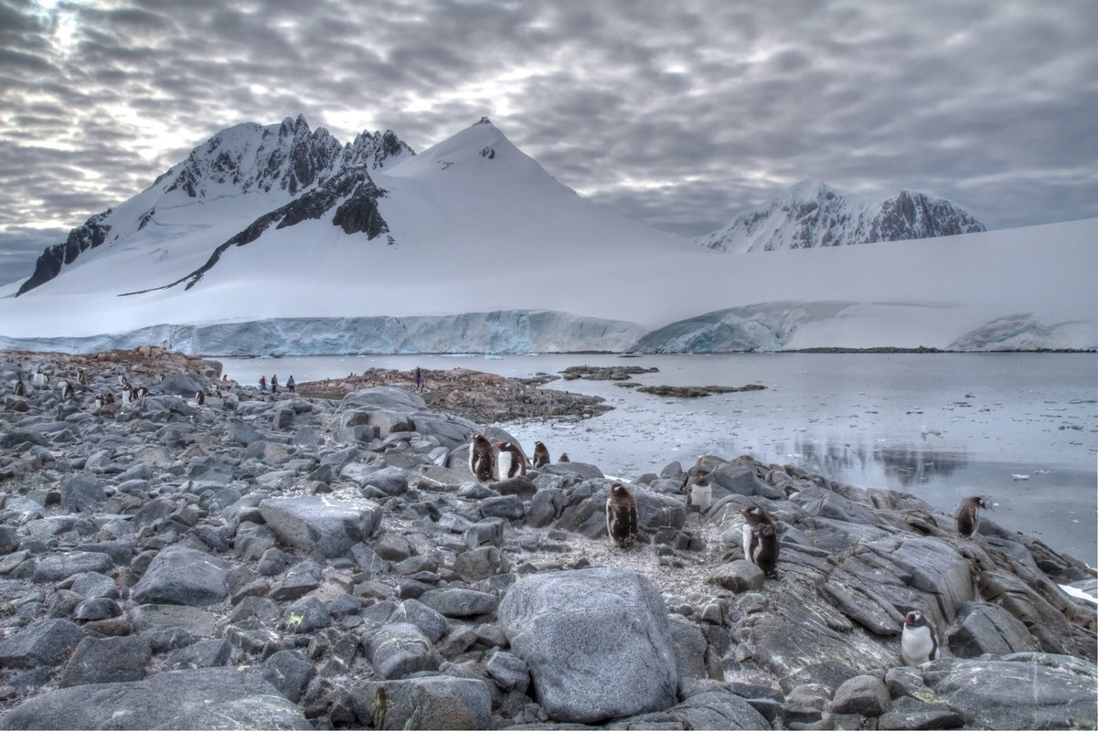 Antarctica 5