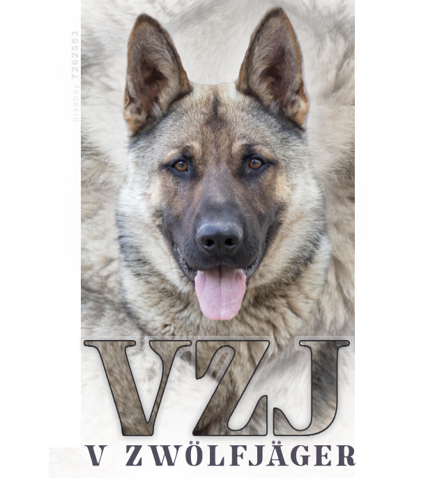 Audo  V Zwölfjäger
