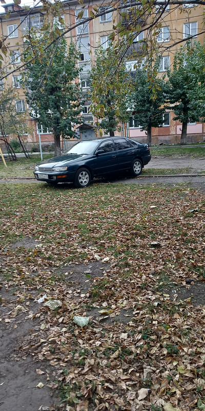 IMG_20191005_144609[1]