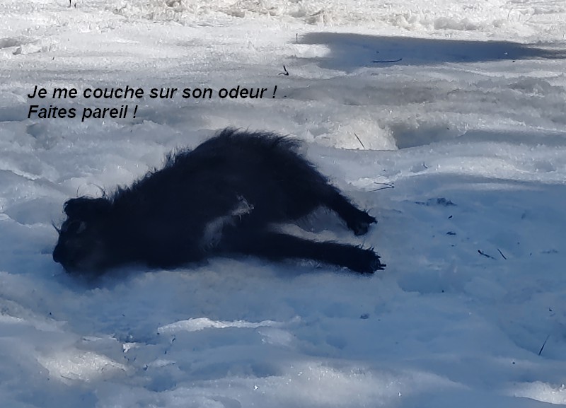 IMG-20260222-113958bb