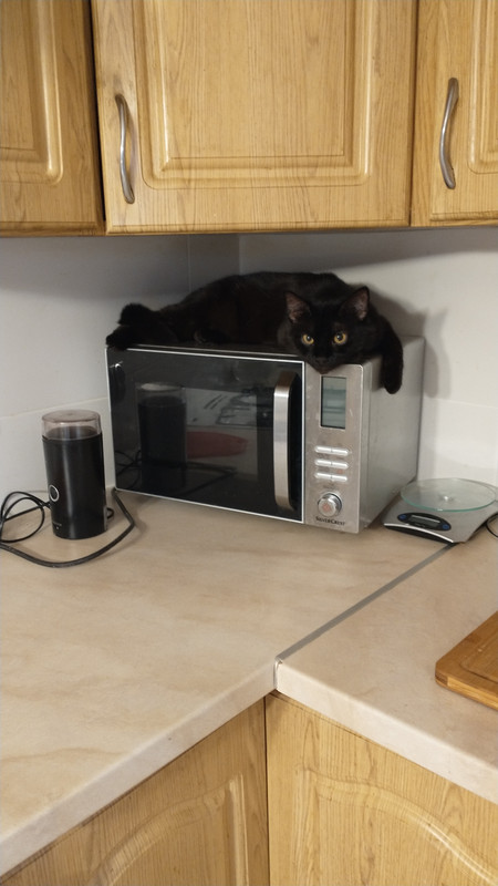 IMG 20260305 170450451