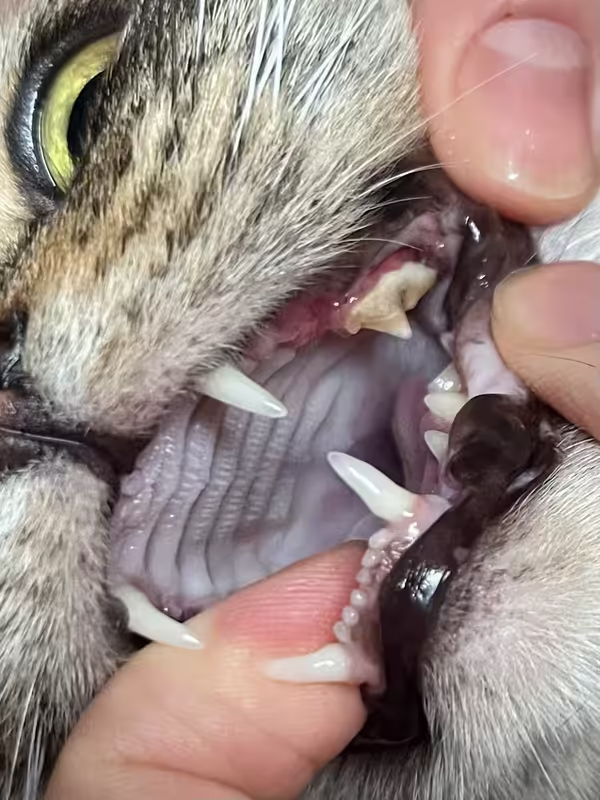 правая сторона (2)