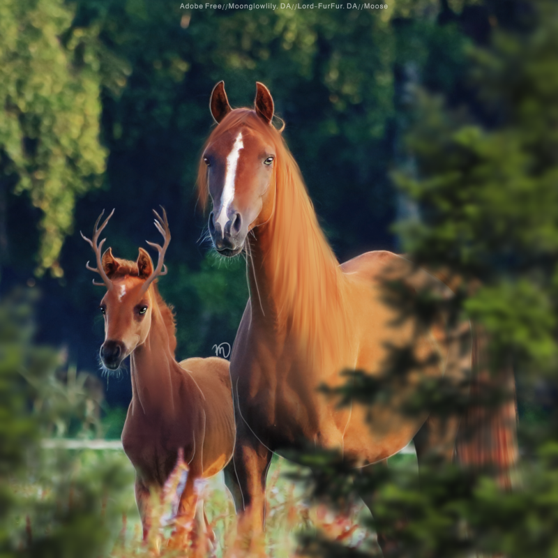 3668ADB8-2FF8-4ACC-B44B-DF2F70486AF4