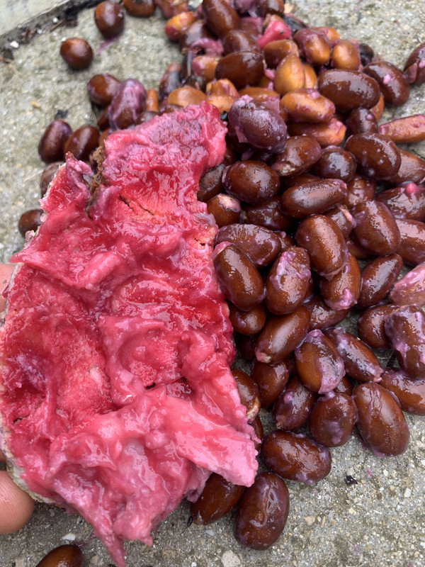 0964F04D-9A58-4E83-9B8A-3DB70DFD3CE3