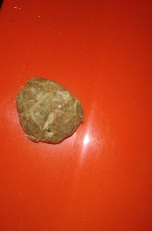 IMG-20201201-222117-3.jpg