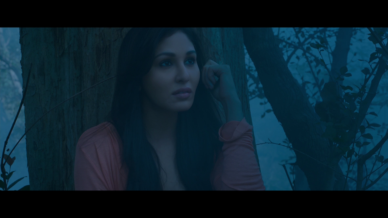 vlcsnap 2026 02 27 19h25m19s856