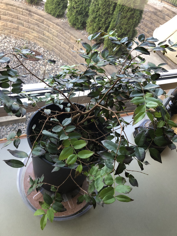 F391F04D-D209-4F0A-BE1A-A2EDB1BAC1E3