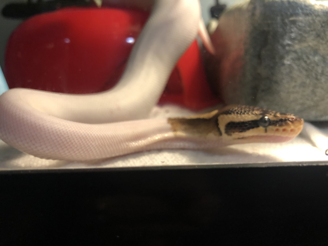 16848294-8EA9-4F4E-9001-0EB69A6D59A3