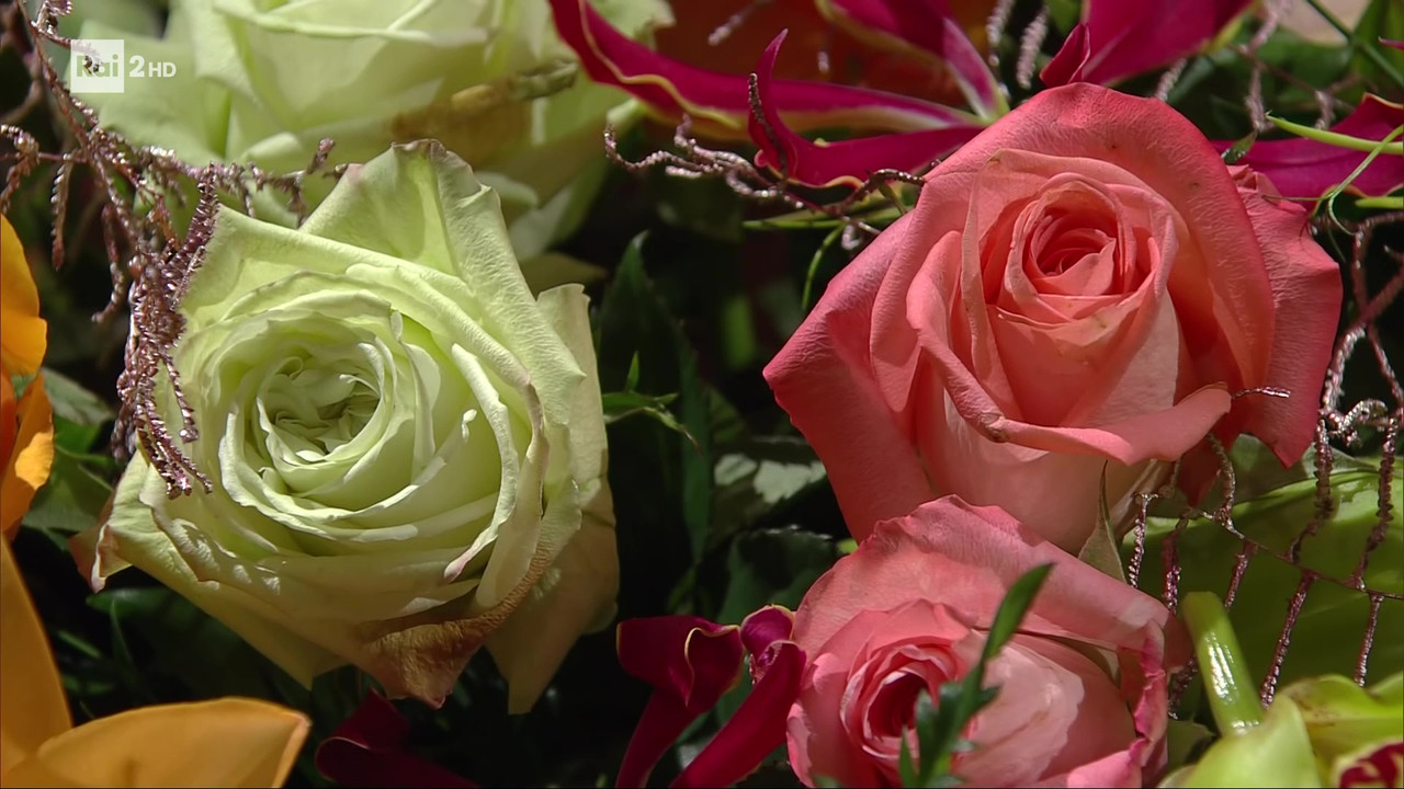 Rai 2 HD e Rai 5 HD confronto (8)