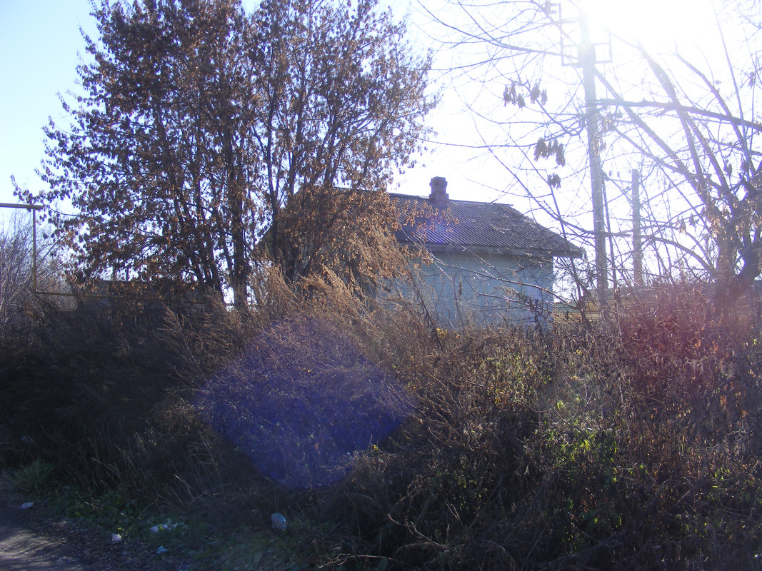 DSCF0185 - копия