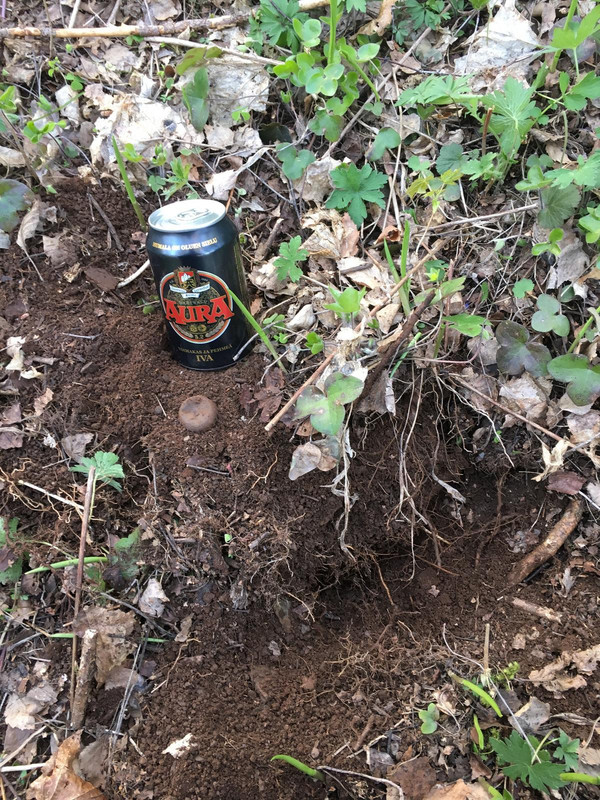 2A6573B2-38F0-47B8-89D2-88D7EFAE25F1