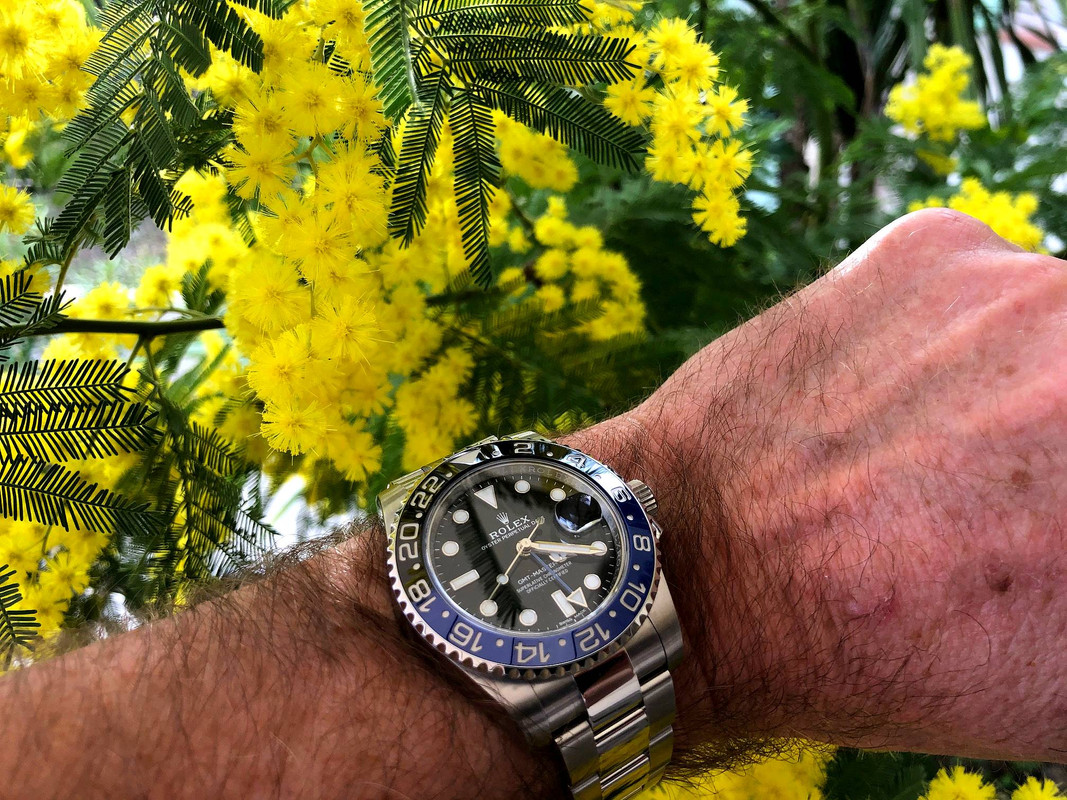 HOMMAGE à ZEN : ici notre plus beau bouquet de ROLEX ! - Page 3 IMG-6057