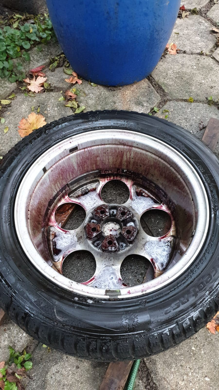 WhatsApp Image 2019-11-08 at 15.04.19