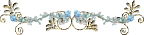 951858a-QOw2-WQD