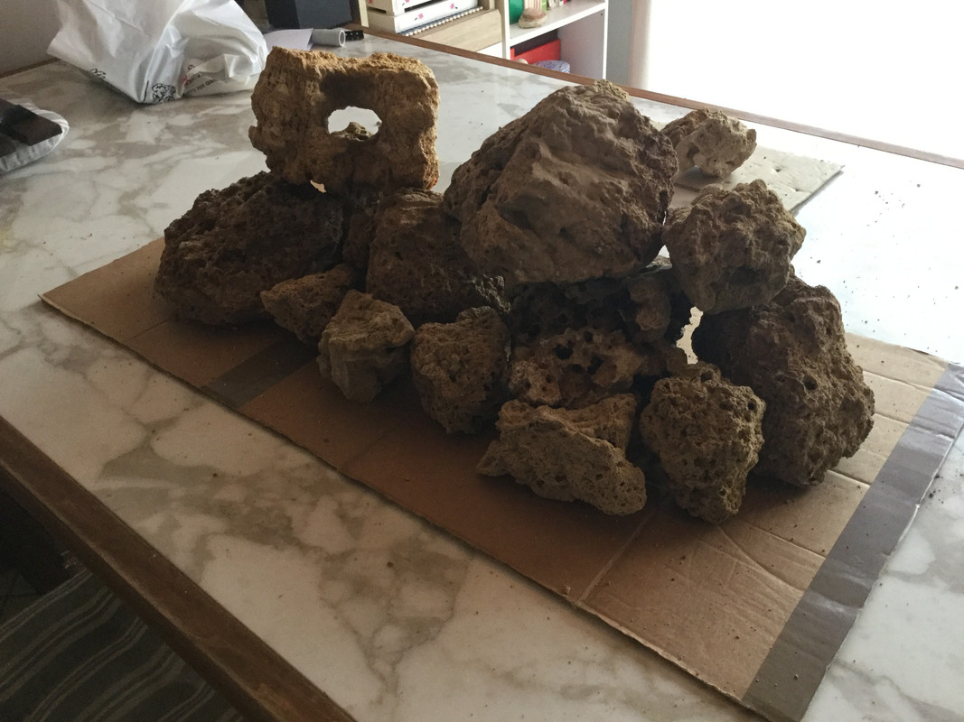 A7CBB5FC-5F4B-4A77-9369-D3C80829E29C