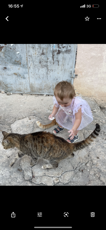 129A3CAB-6264-4459-9383-0BB123C7725F