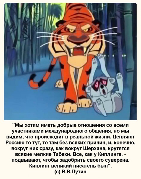 Я дебил а не шерхан Я дебил а не шерхан