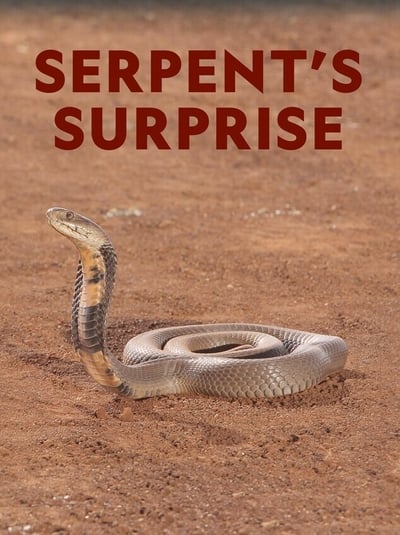 serpents-surprise-2021-720p-webrip-x264-