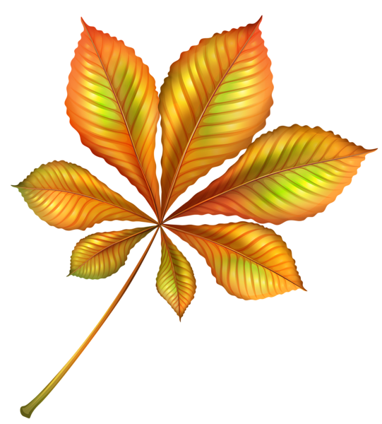 TADD_elements_ShimmerFall (79)