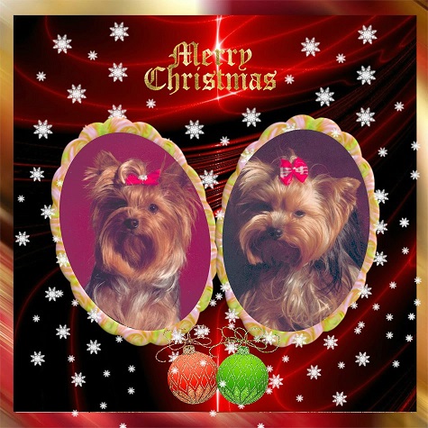 pixiz 21 12 2017 16 48 37