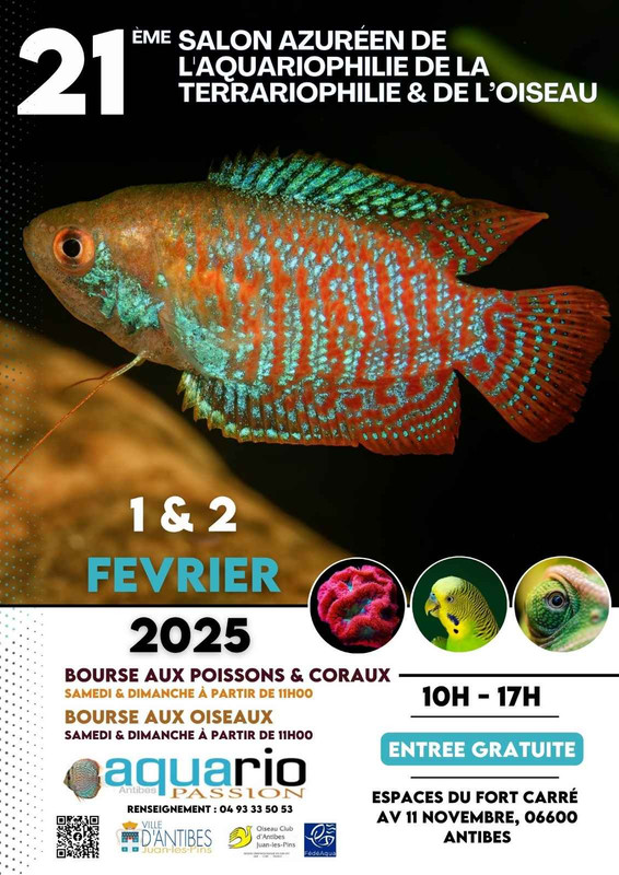 Affiche définitive compréssée salon 2025 avec oiseaux