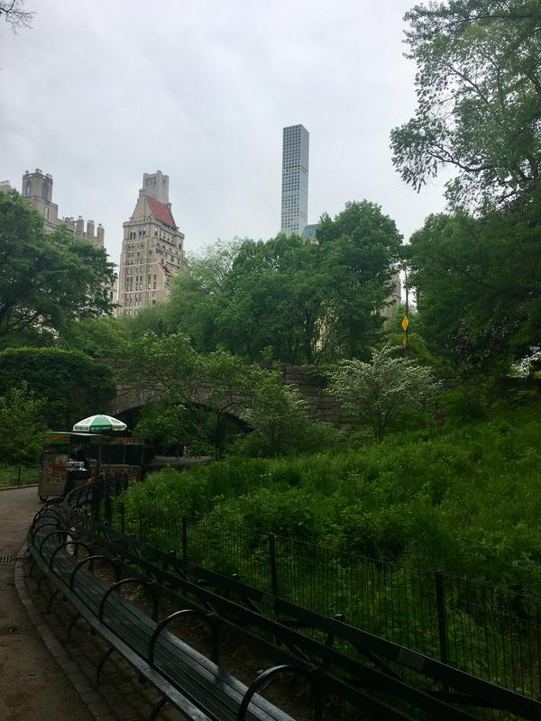 52C07773-3AA4-4916-AC0D-CB9DDA760BE2