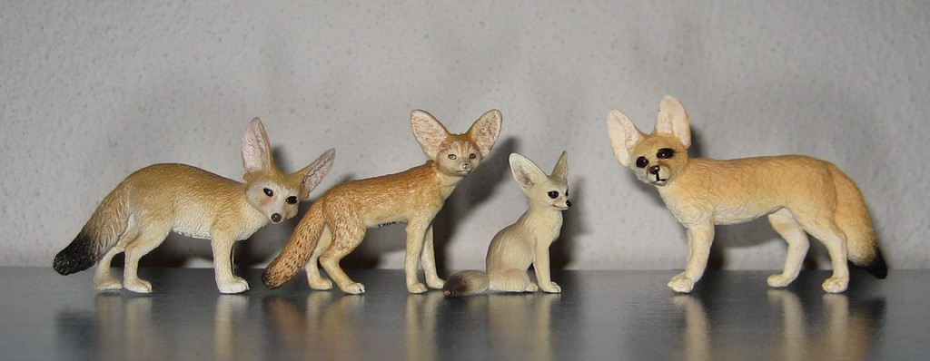 Eikoh 'Miniatureplanet' - Fennec fox walk around Fennecs-CPES