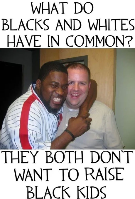 aj5-YVg1-460swp.png