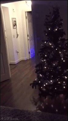 Santa-Skates.gif