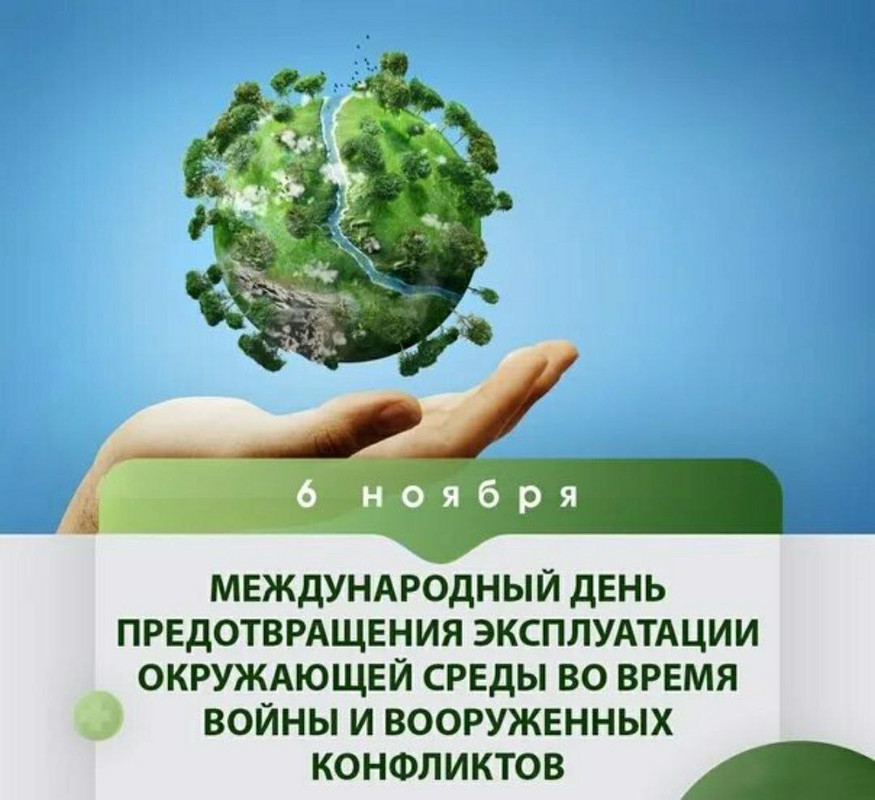 IMG_20231106_120843_997