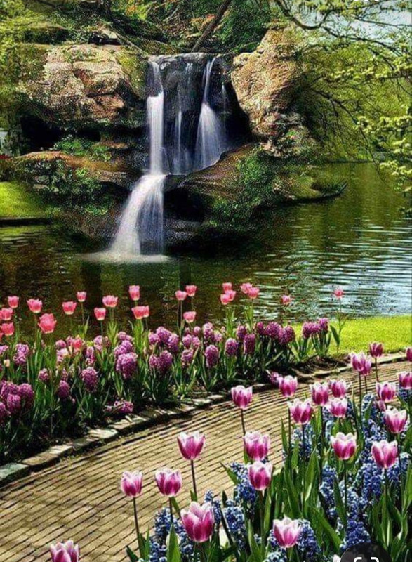 Screenshot_20231014_212809_Pinterest