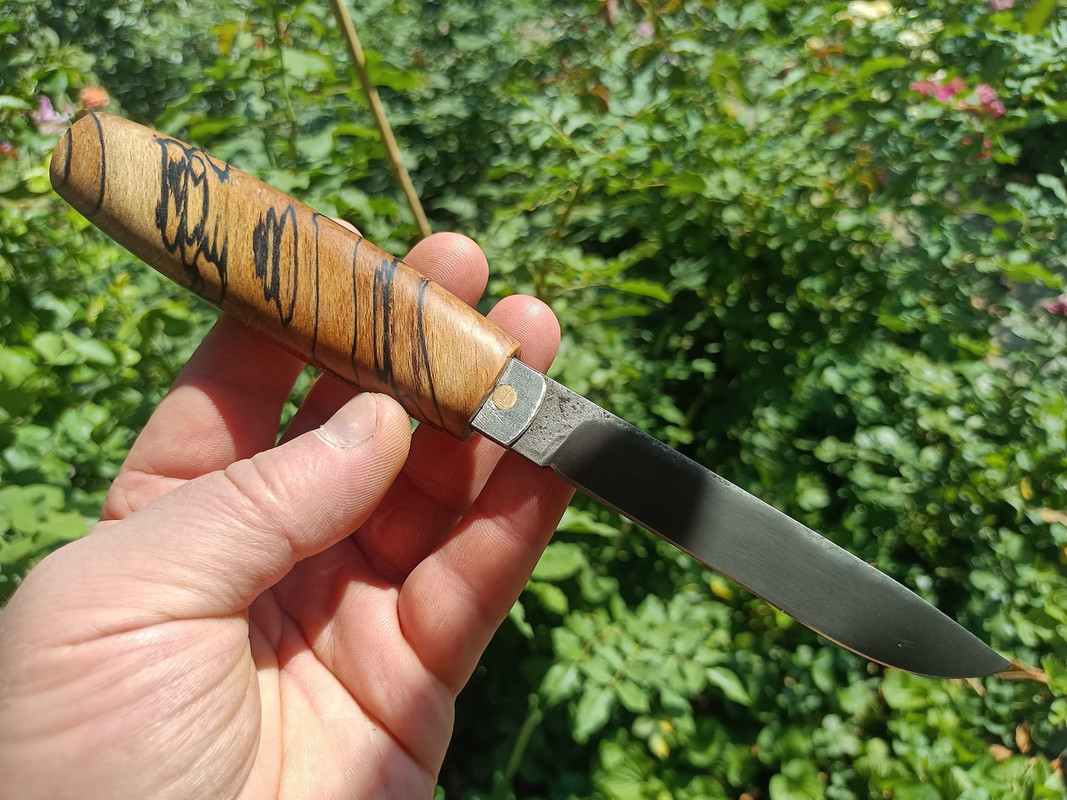 457524631_3594149987501365_5792763788917077736_n