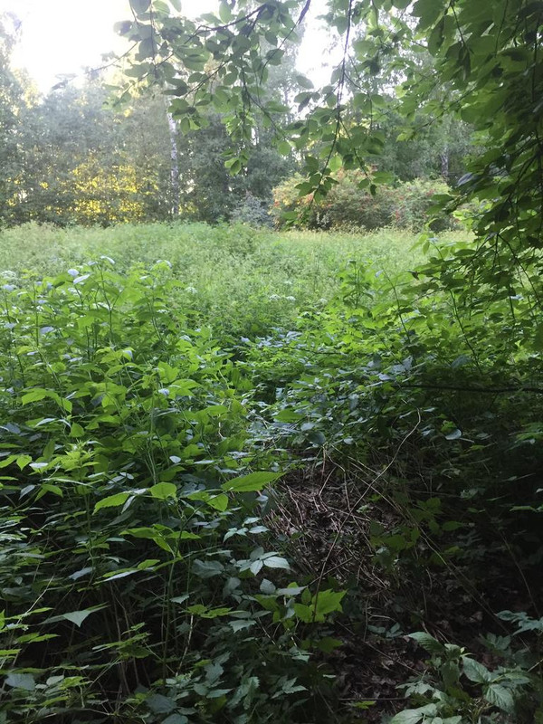 245DB7FD-4250-4057-AF1A-FD859DA13EE4